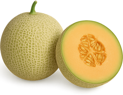 Melon yang terjaga