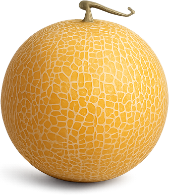 Buah Melon Segar