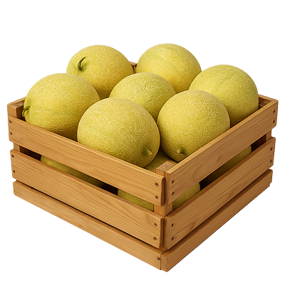 Kumpulan Buah Melon Segar