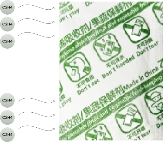 Etilen Absorber